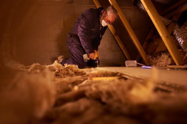 Best Local Insulation Services  in Woodinville, WA